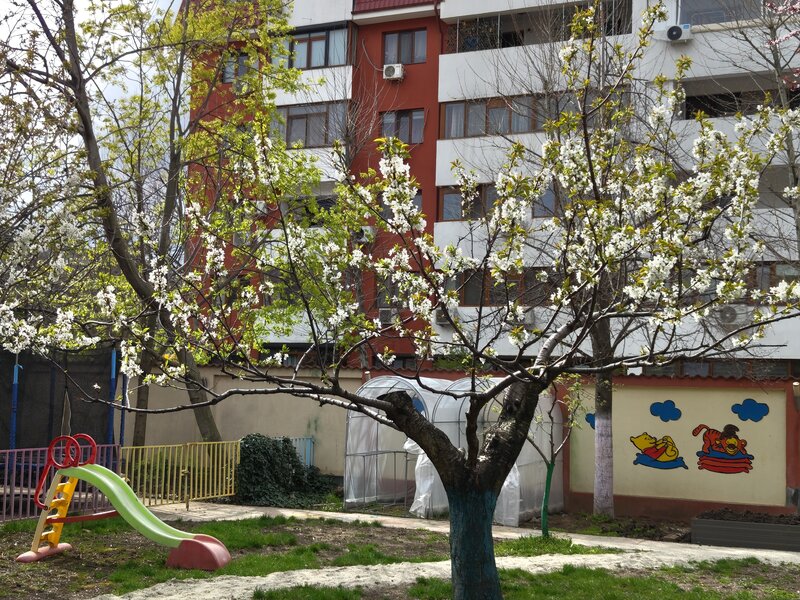Gradinita IQ-EST Popesti-Leordeni - inscrieri in curs!