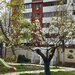 Gradinita IQ-EST Popesti-Leordeni - inscrieri in curs!